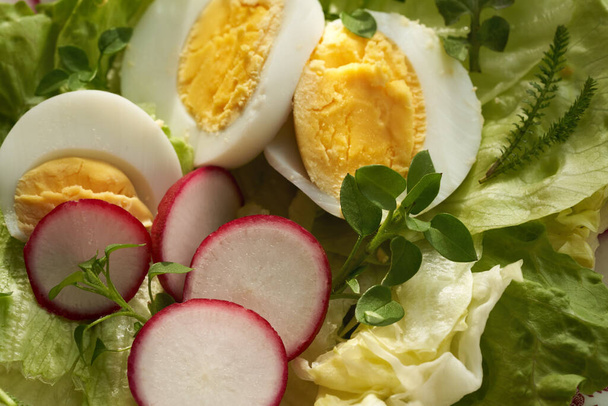 Salade de printemps aux œufs et plantes sauvages comestibles - potamot et achillée, fermer - Photo, image