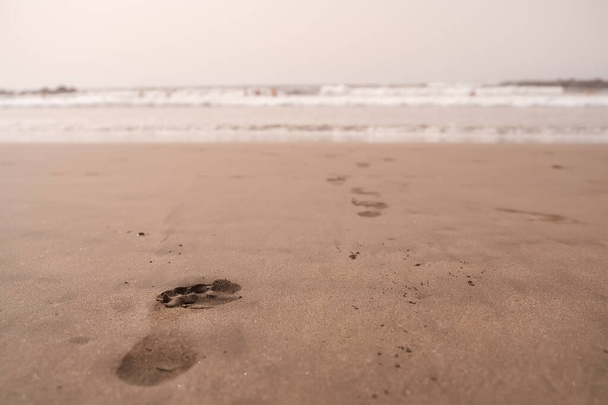 Een opeenvolging van voetafdrukken van een kind in het zand creëert een pad dat in de verte naar de oceaangolven leidt. Voetafdrukken die leiden naar Ocean Waves. - Foto, afbeelding