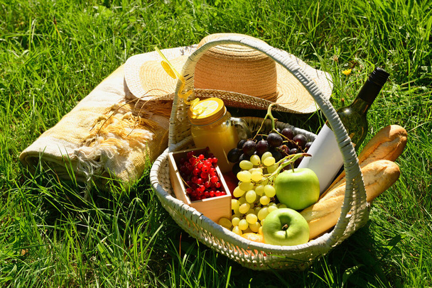 Blanket, hat and wicker basket of tasty food with drinks for romantic picnic on grass in park - Photo, Image