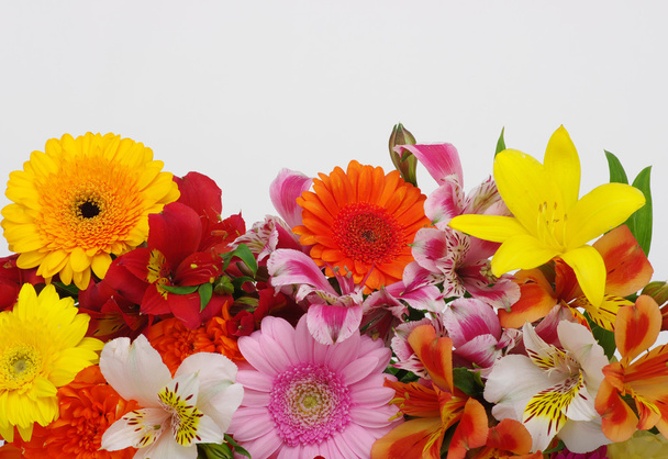  Όμορφα λουλούδια  - Φωτογραφία, εικόνα