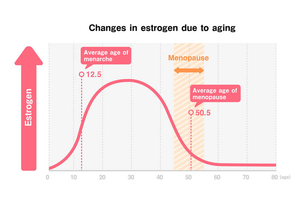 Graf změn ženských hormonů (estrogen) v důsledku stárnutí - Vektor, obrázek