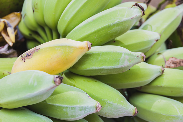 Banane mature in banane crude. Focus selettivo
. - Foto, immagini