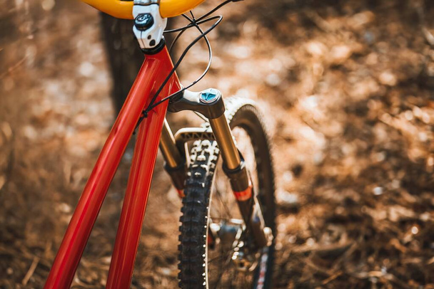 Zwiedzanie przyrody na rowerze w lesie - Zdjęcie, obraz