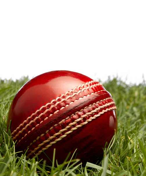 Cricket Ball - Φωτογραφία, εικόνα