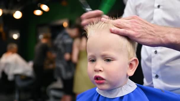 Homme coiffeur couper les cheveux des petits garçons en utilisant peigne et ciseaux. Gros plan de l'enfant qui se fait couper les cheveux par un homme adulte, probablement un coiffeur. Coiffeur professionnel et client mignon au salon de coiffure moderne. - Séquence, vidéo