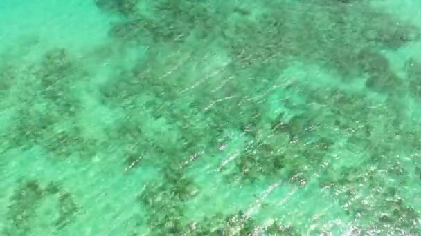 Die Oberfläche des Meerwassers in der Lagune mit Korallenriffen bietet Platz für Text. Draufsicht transparente türkisfarbene Meereswasseroberfläche. - Filmmaterial, Video