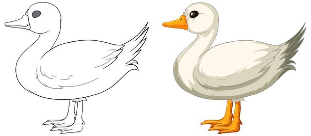 Vector transition from line art to colored duck - Vector, Image