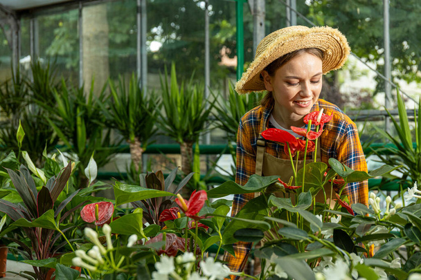 Ένα νεαρό κορίτσι φροντίζει τα φυτά εσωτερικού χώρου σε ένα θερμοκήπιο. - Φωτογραφία, εικόνα