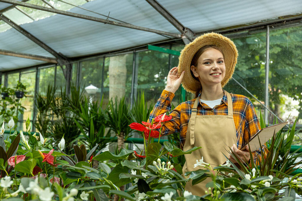Una chica guapa en un invernadero está recontando las plantas en un invernadero. - Foto, imagen