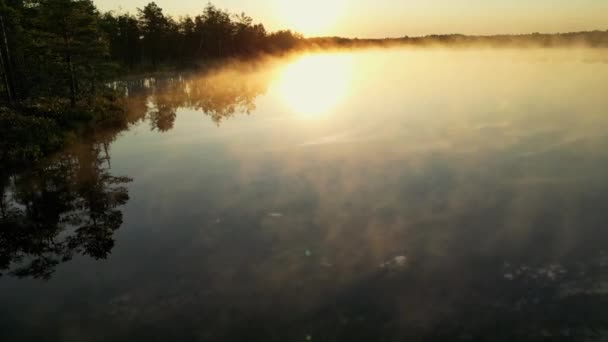 "Gölün Üzerinde Sabah Sisi", "Altın Gün Doğumu", "Turuncu Sis". Ormanın Ortasında Huzur Yansımaları. Estonias Büyüleyici Bataklık 'taki büyüleyici Misty Landscape. Yüksek kalite 4k görüntü - Video, Çekim