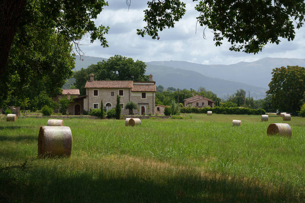 Paisaje rural cerca de Spello, provincia de Perugia, Umbría, Italia, en verano - Foto, imagen