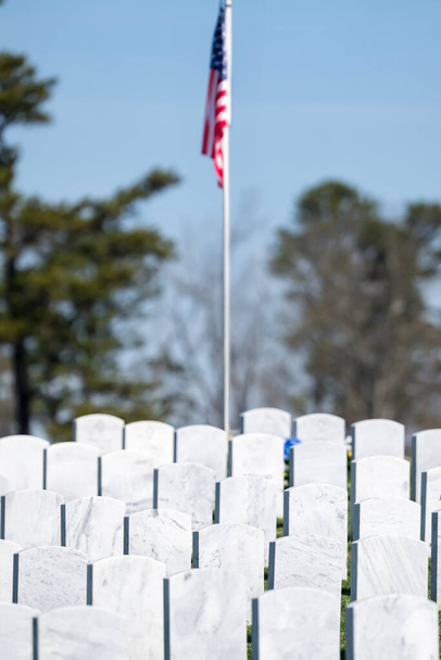 Загальні погляди на святкування пам'ятного кладовища ветеранів з американськими прапорами - Фото, зображення