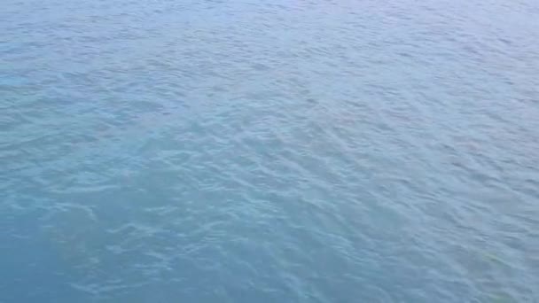 落ち着いた青い海の自然の背景 - 映像、動画