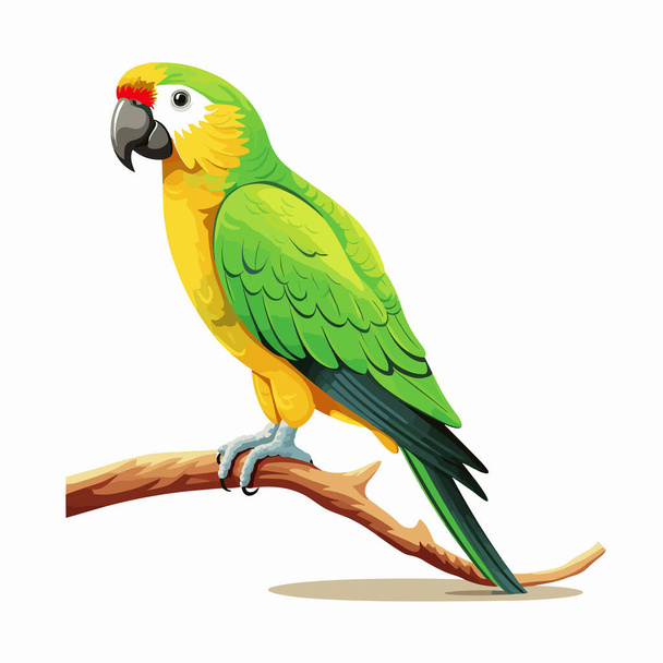 Egzotik papağan. Tropik kuş papağanı illüstrasyon vektörü - Vektör, Görsel