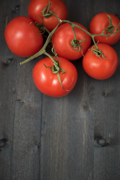 Fresh tomatoes - Foto, immagini