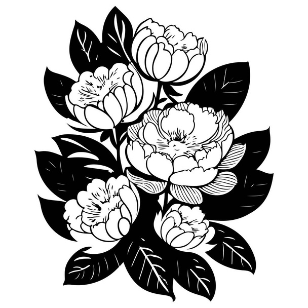 doodle pioenroos lente zomer bloemen illustratie schets hand teken element - Vector, afbeelding