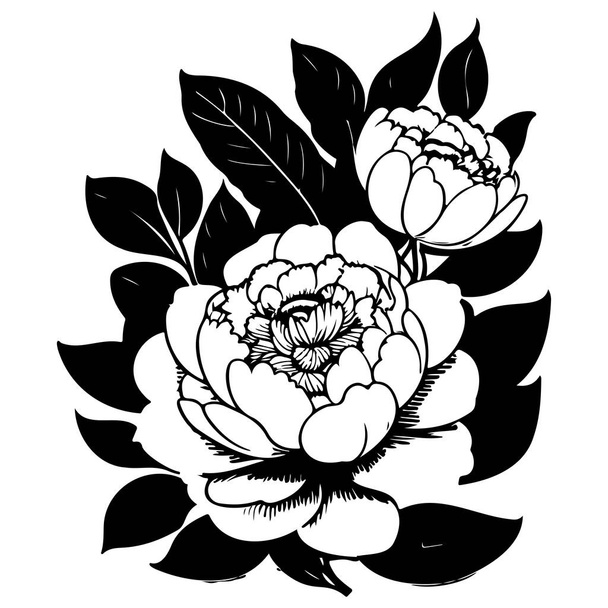 doodle pioenroos lente zomer bloemen illustratie schets teken element - Vector, afbeelding