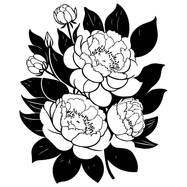doodle Peonia primavera estate fiori illustrazione schizzo disegnare elemento - Vettoriali, immagini
