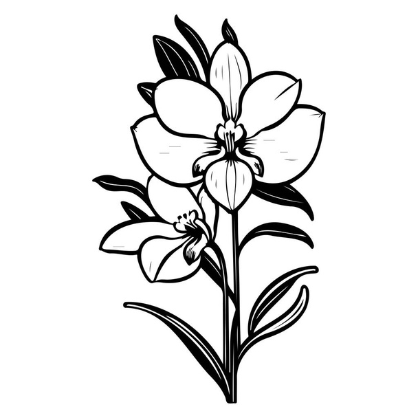 Umriss Doodle Orchidee Blume Blatt Illustration Skizze Hand zeichnen Element - Vektor, Bild