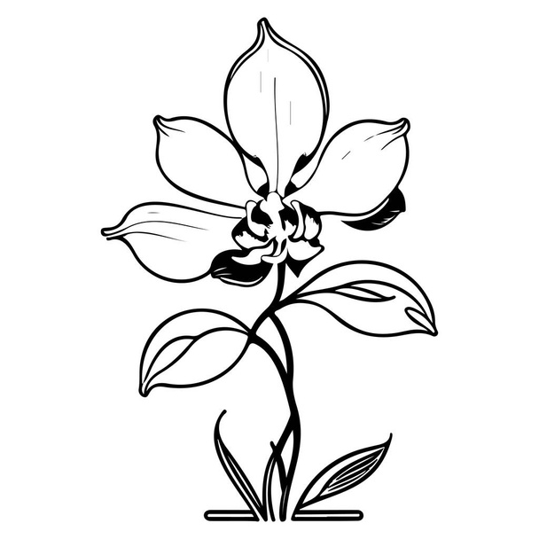 outline doodle orchid flower leaf illustration sketch hand draw element - Vector, Image
