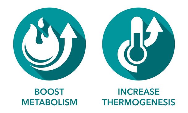 Zvýšit termogeneze a posílení metabolismu ikony s dlouhými stíny. Pro doplňky živin - Vektor, obrázek