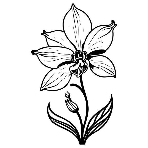 esquema doodle orquídea flor hoja ilustración bosquejo elemento negro - Vector, Imagen