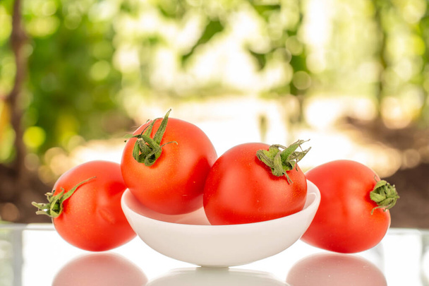 Several ripe cherry tomatoes with white ceramic plate, macro, on the background of the garden - Photo, Image