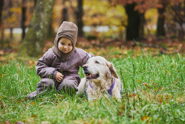 デンマークの森を歩くチャーミングな子供と犬.  - 写真・画像