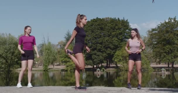 Drei gesundheitsbewusste Frauen, die sich in einem landschaftlich reizvollen Park einer Stretching-Routine widmen, die einen aktiven und gesunden Lebensstil widerspiegelt. - Filmmaterial, Video