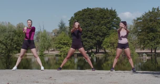 Três mulheres de esportes exercitando no parque, esticando as mãos, fitness ao ar livre, estilo de vida saudável, dia ensolarado. - Filmagem, Vídeo