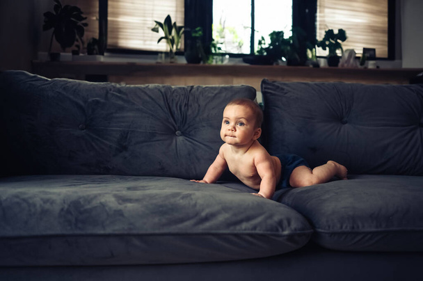 Lindo niño divertido sonriente emocional sentado en brazos rectos en el sofá azul marino profundo gris oscuro. Expresiones faciales de bebé. Una niña sana. Hogar muebles cómodos, concepto de familia feliz.  - Foto, imagen