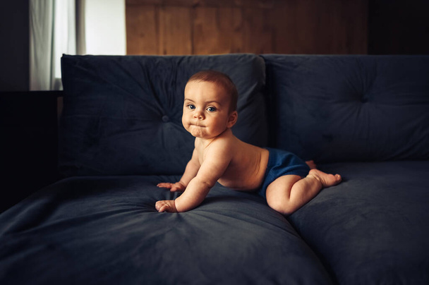 Lindo niño divertido sonriente emocional sentado en brazos rectos en el sofá azul marino profundo gris oscuro. Expresiones faciales de bebé. Una niña sana. Hogar muebles cómodos, concepto de familia feliz.  - Foto, Imagen