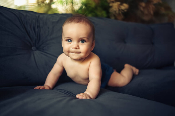 Söpö emotionaalinen hymyilevä hauska pikkupoika istuu suorilla käsivarsilla tummanharmaalla syvällä laivaston sinisellä sohvalla. Vauvan ilmeitä. Terveellinen lapsi. Koti mukavat huonekalut, onnellinen perheen käsite.  - Valokuva, kuva