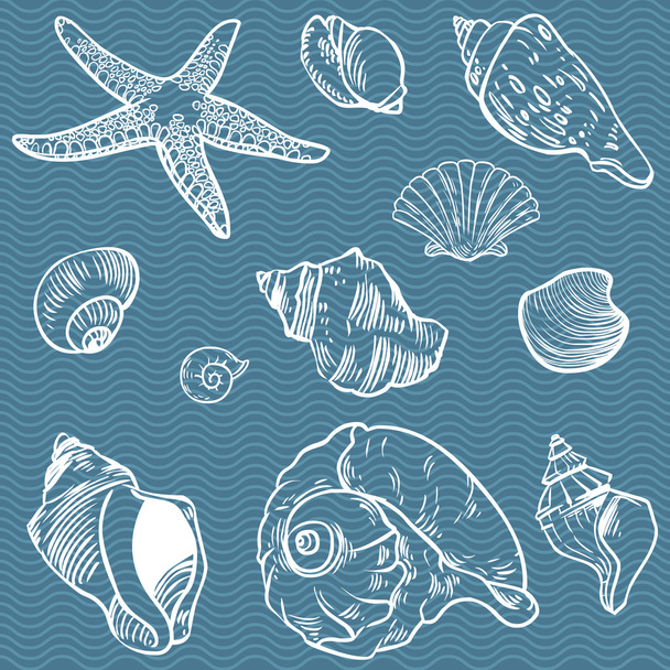Vector set of sea fauna - Вектор, зображення