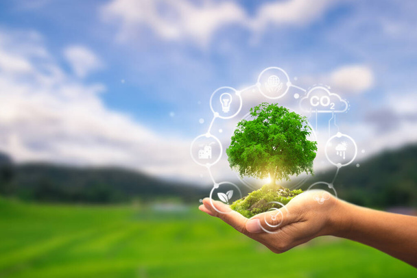 Uma mão segurando uma árvore exuberante com ícones simbolizando energia sustentável e conceitos ecológicos contra uma paisagem cênica - Foto, Imagem