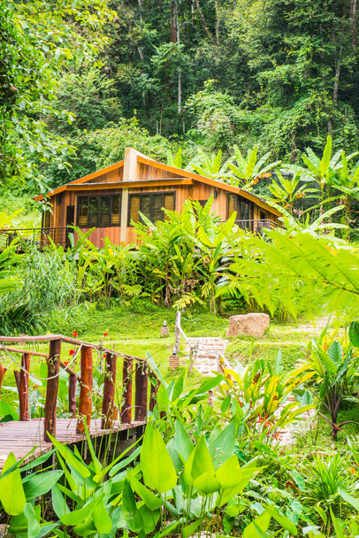 Floresta e casas de férias no país, Tailândia. - Foto, Imagem