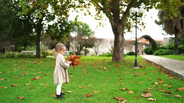 Un bambino è felice di gettare foglie in un parco, circondato da alberi, praterie e paesaggi naturali. La gente si sta godendo piacevolmente la vita all'aria aperta in questo scenario panoramico - Filmati, video
