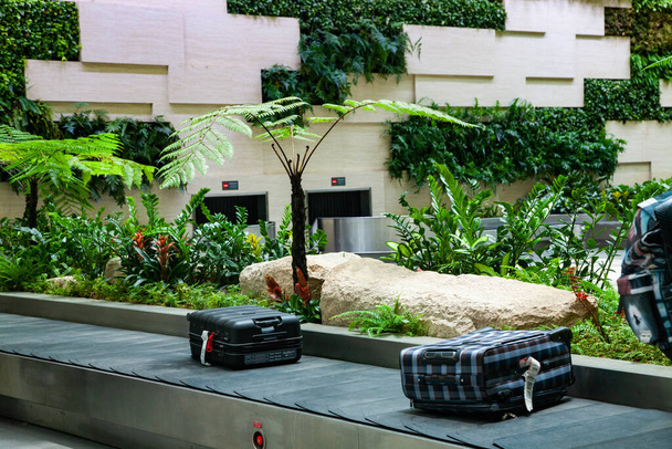 luggage claim area with tropical plants in airport - Photo, Image