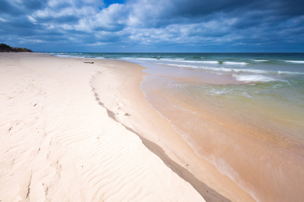 Пляжный пейзаж. Балтийское побережье
. - Фото, изображение