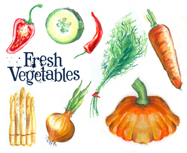 sketch. fresh vegetables on white background - Photo, image