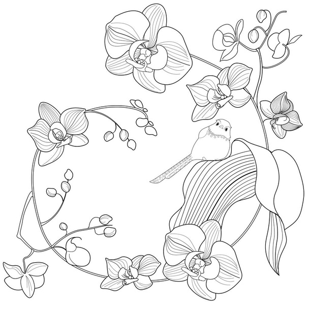 Раскраска для арт-терапии. Линейное изображение орхидеи. Картинки идеально подходят для создания открыток, стикеров, обоев и других проектов. - Вектор,изображение