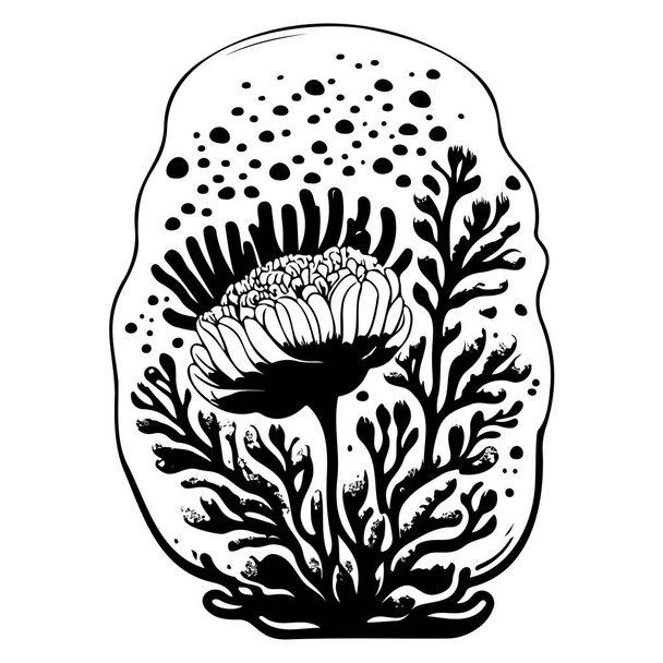 floral ocean coral Bubble Tip Anemone illustration sketch element - Vector, Image