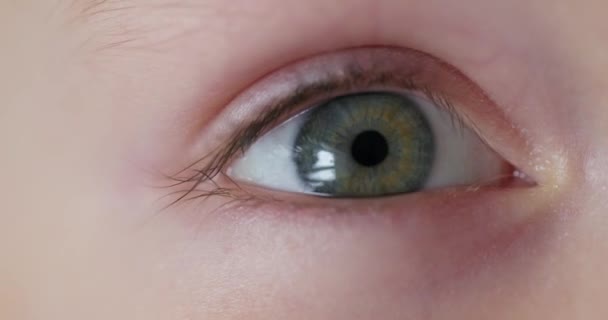 Extrémní detailní záběr chladného oka s viditelnými řasami a odrazem. Vysoce kvalitní 4K záběry - Záběry, video