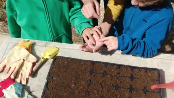Gedeeltelijke weergave van moeder leren haar zonen planten zaailingen in de grond aan tafel buiten - Video