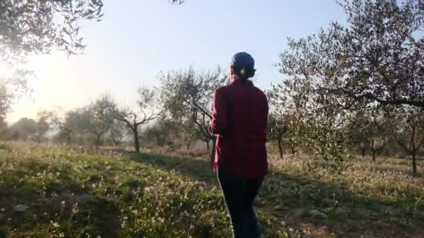 Moderne vrouwelijke boer met digitale tablet die haar fruittuin controleert op zonnige lentedag - Video