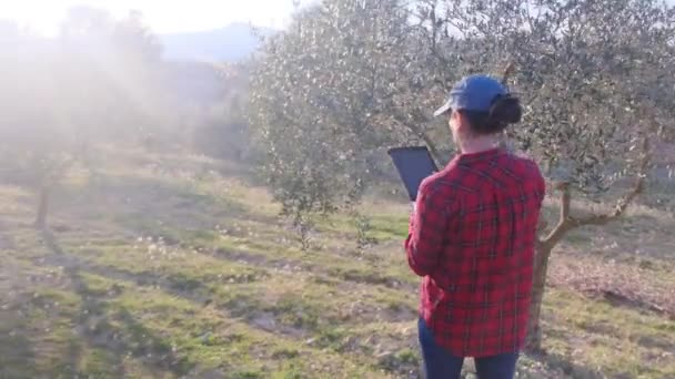 Moderní fena farmář s digitálním tabletem kontroluje její ovocnou zahradu na slunném jarním dni - Záběry, video