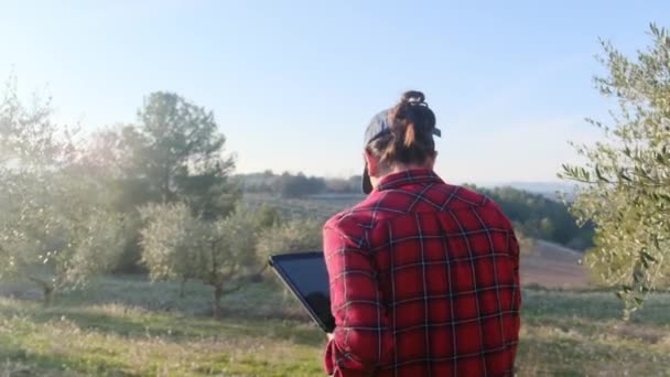 Modern női mezőgazdasági termelő digitális tabletta ellenőrzi a gyümölcsös kert napsütéses tavaszi napon - Felvétel, videó
