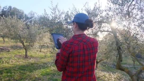 Fermier moderne avec tablette numérique vérifiant son jardin de fruits au jour ensoleillé du printemps - Séquence, vidéo