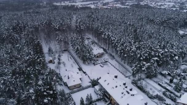 Forest Housing Estate Snow Przytorze Belchatow Vue Aérienne Pologne. Images 4k de haute qualité - Séquence, vidéo