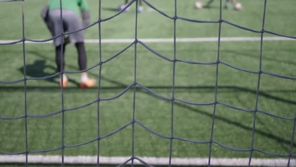 Net of a goal of a football stadium, - Footage, Video